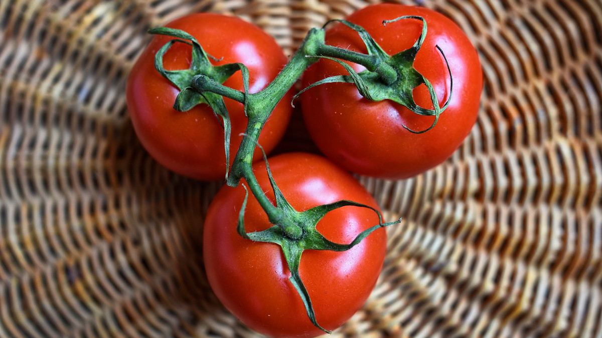 Чи можна тримати помідори в холодильнику - фото 1