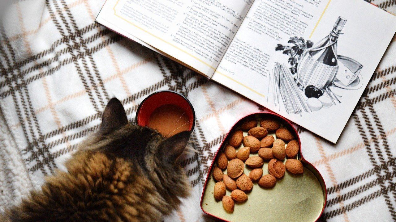 Смачно чи корисно? 5 книг про те, як правильно харчуватися