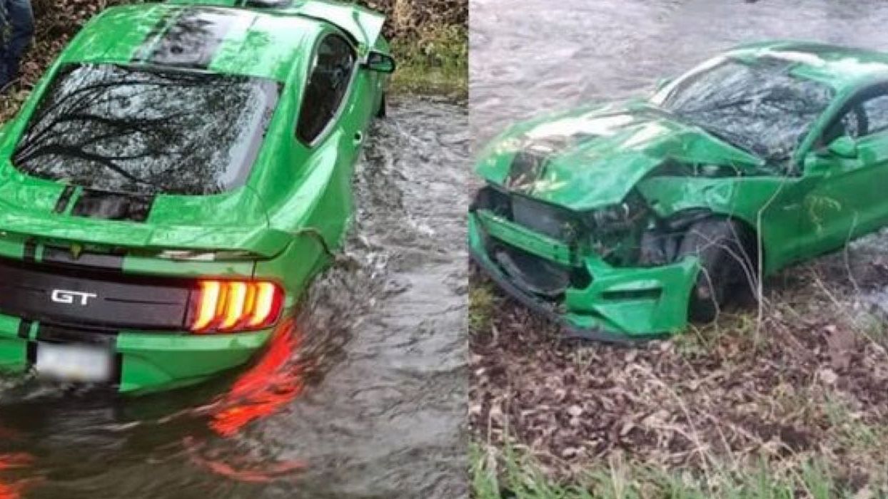 Mustang - фото 1