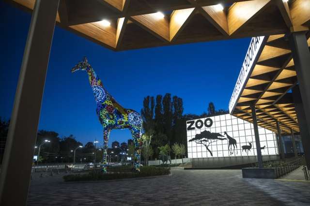 Віталій Кличко показав, як змінився зоопарк Києва після першого етапу реконструкції: відео - фото 405636