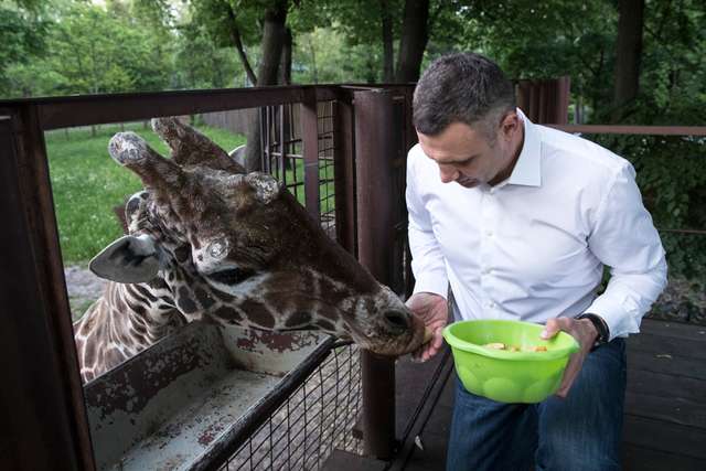 Віталій Кличко показав, як змінився зоопарк Києва після першого етапу реконструкції: відео - фото 405637