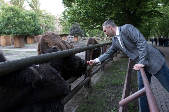 Віталій Кличко показав, як змінився зоопарк Києва після першого етапу реконструкції: відео - фото 405638