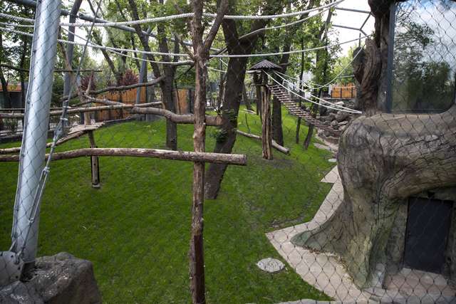 Віталій Кличко показав, як змінився зоопарк Києва після першого етапу реконструкції: відео - фото 405639