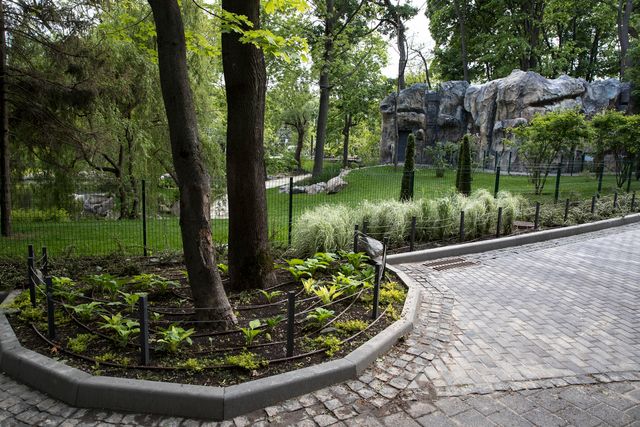 Віталій Кличко показав, як змінився зоопарк Києва після першого етапу реконструкції: відео - фото 405645