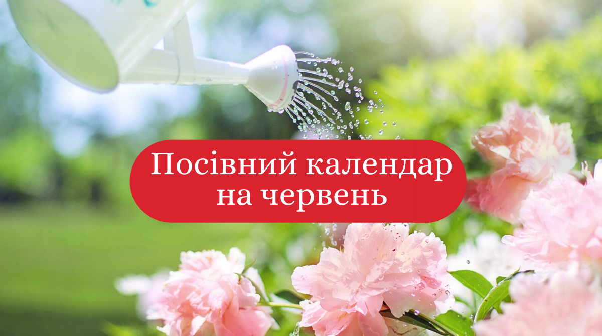 Місячний посівний календар на червень 2020: коли і що садити