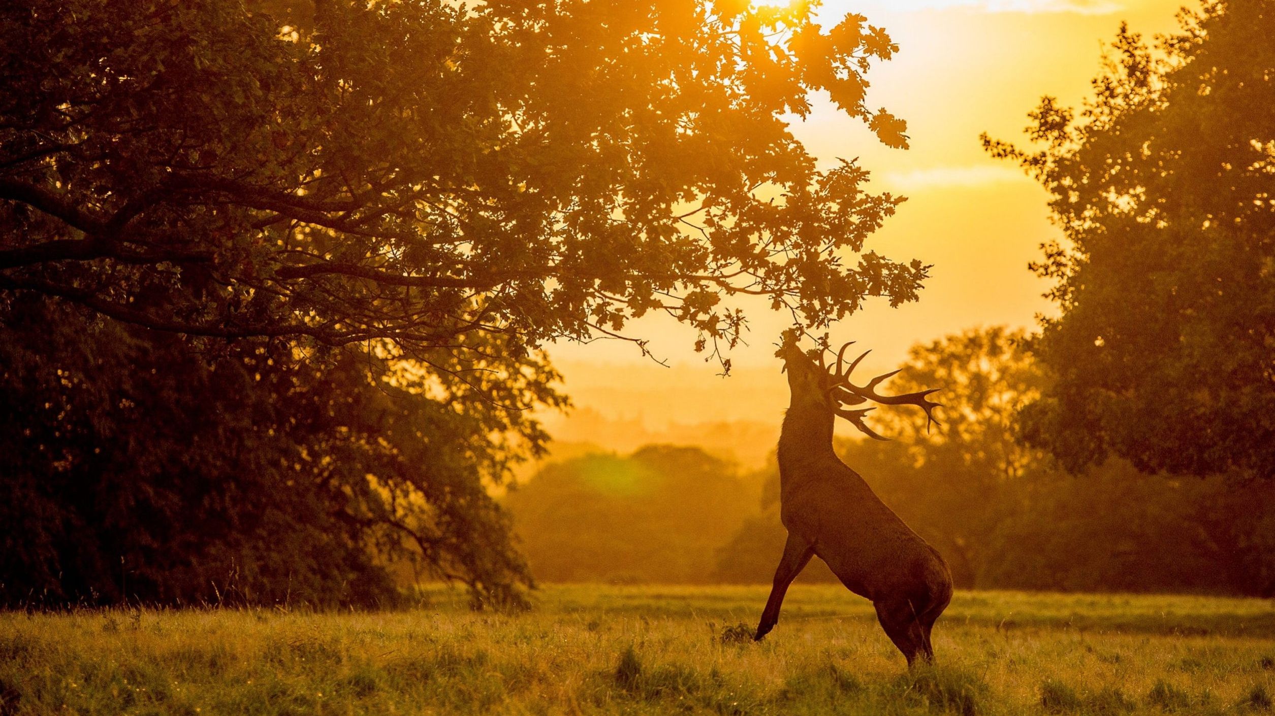 Несподівана користь відпочинку на природі