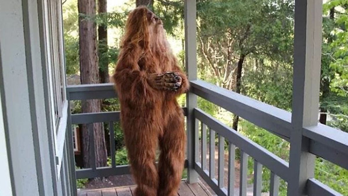 Єті на самоізоляції: як снігова людина намагається продати розкішний будинок