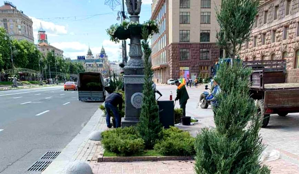 Не робіть з ялівця слона: Кличко пояснив, чому на Хрещатику висадили туї замість каштанів