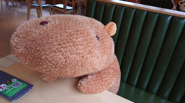 В японському ресторані розсадили плюшевих звірят, аби відвідувачі дотримувалися дистанції - фото 406217