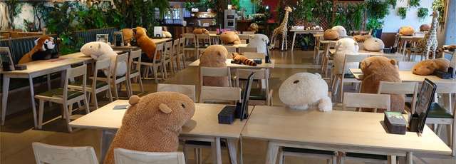 В японському ресторані розсадили плюшевих звірят, аби відвідувачі дотримувалися дистанції - фото 406220