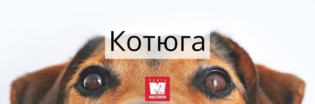 10 колоритних гуцульських слів, значення яких ви зрозумієте не одразу - фото 406322