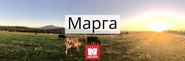 10 колоритних гуцульських слів, значення яких ви зрозумієте не одразу - фото 406330