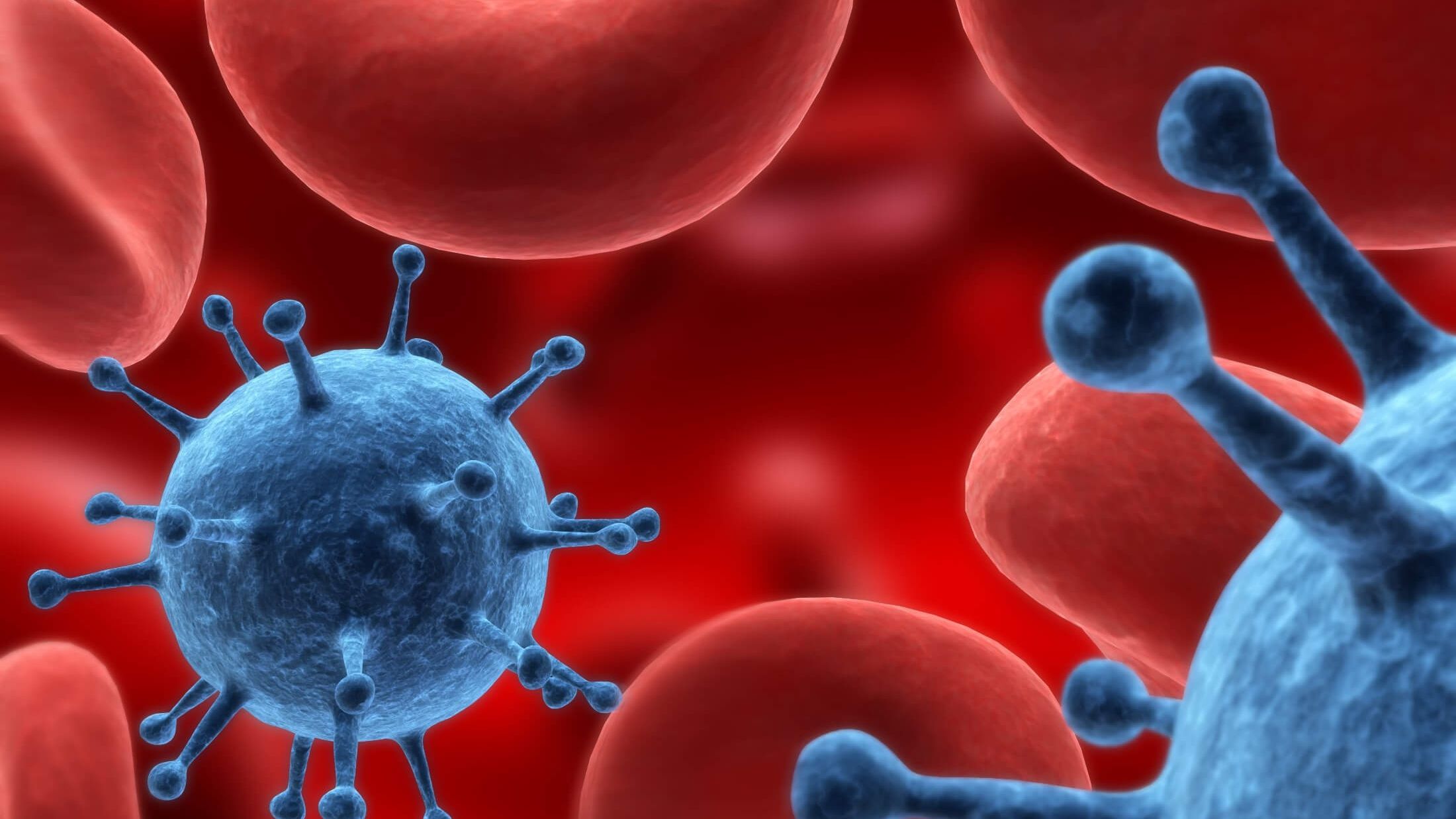 Створено додаток, який безконтактно вимірює рівень гемоглобіну в крові