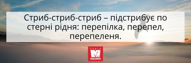 Можна зламати язик: 10 українських скоромовок, які під силу не всім - фото 406388