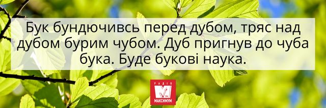 Можна зламати язик: 10 українських скоромовок, які під силу не всім - фото 406390