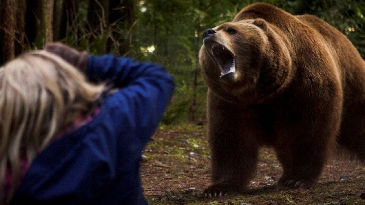 В Італії хлопчик спокійно втік від дикого ведмедя: відео не для слабкодухих - фото 1