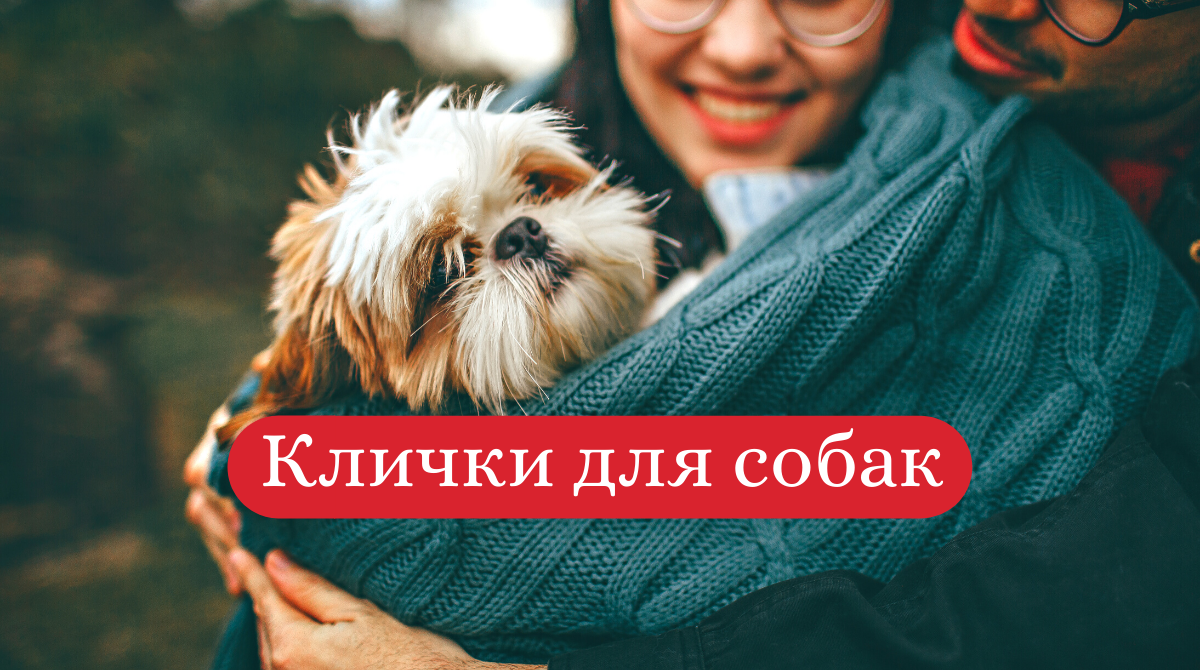 як назвати собаку - фото 1