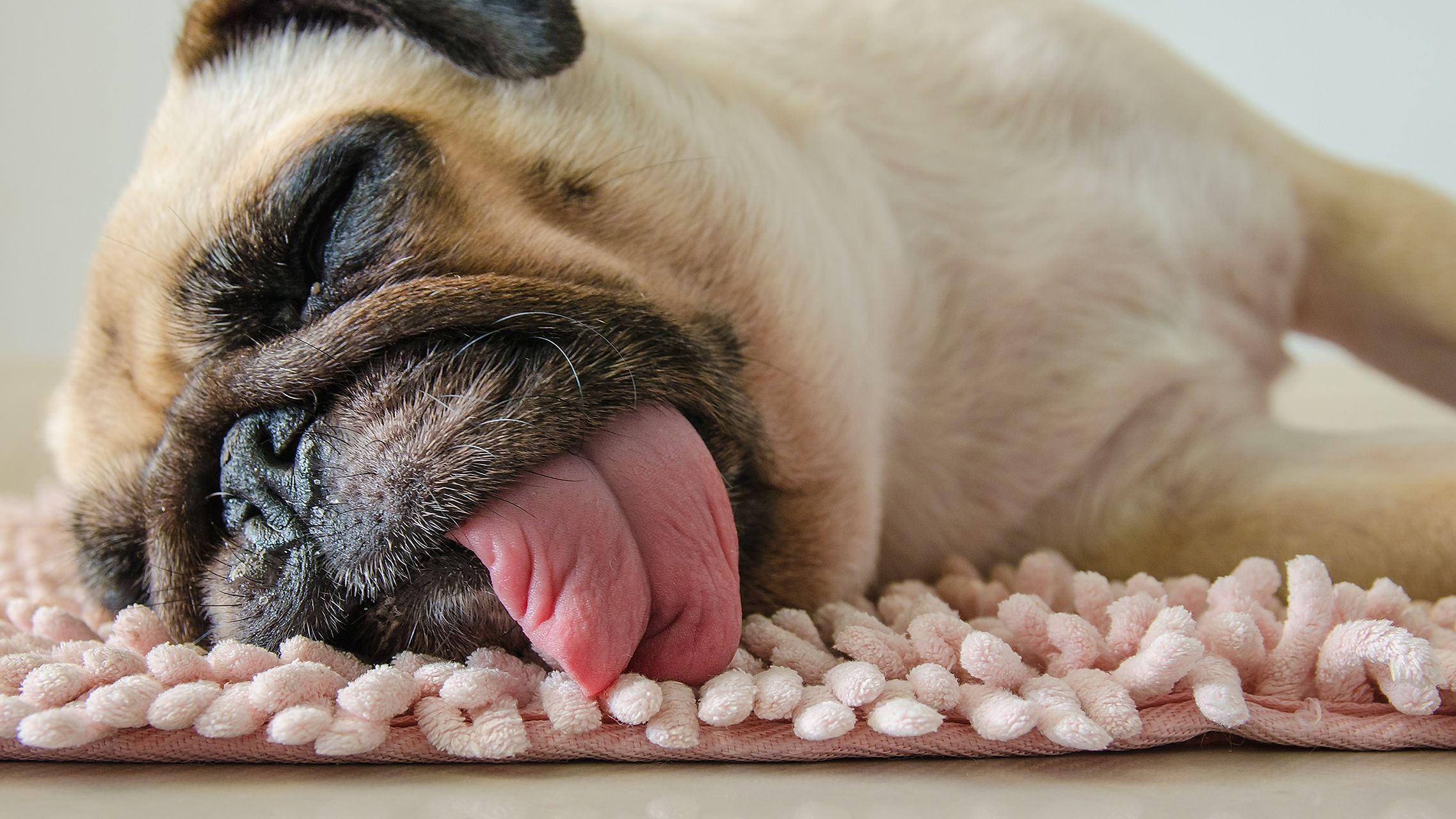 Чому вранці люди відчувають себе вже втомленими