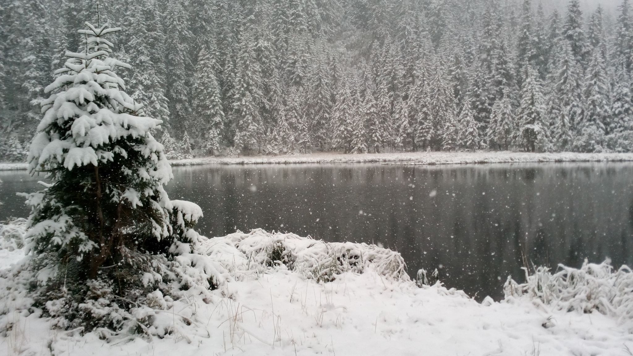 Карпати засипало снігом в останній день весни: фото