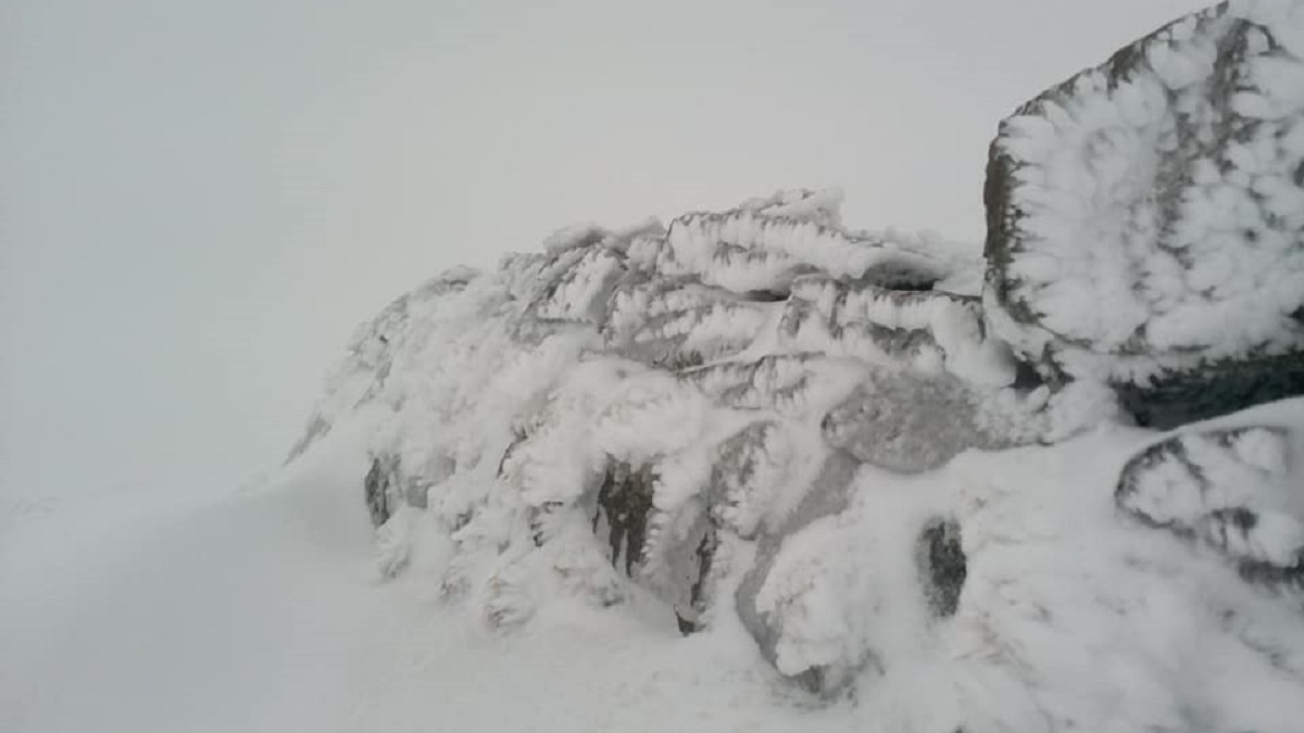 Сніг у Карпатах - фото 1