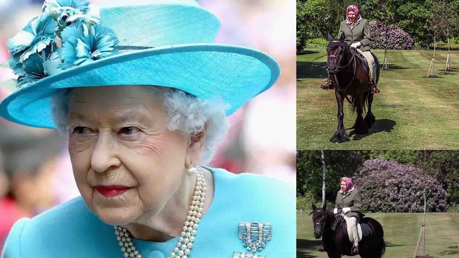 Єлизавета ІІ вийшла на кінну прогулянку вперше з початку карантину