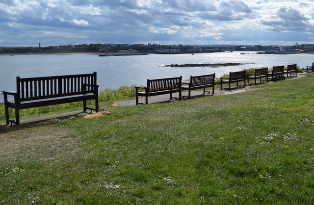 У Британії представили офіційний архів фото часів пандемії коронавірусу - фото 407662