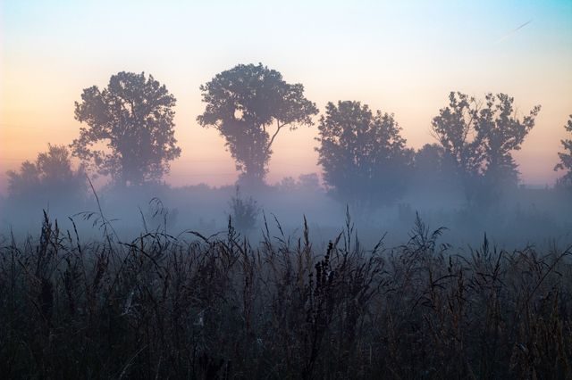 4 червня 2020 – яке сьогодні свято: традиції, заборони і прикмети - фото 407709