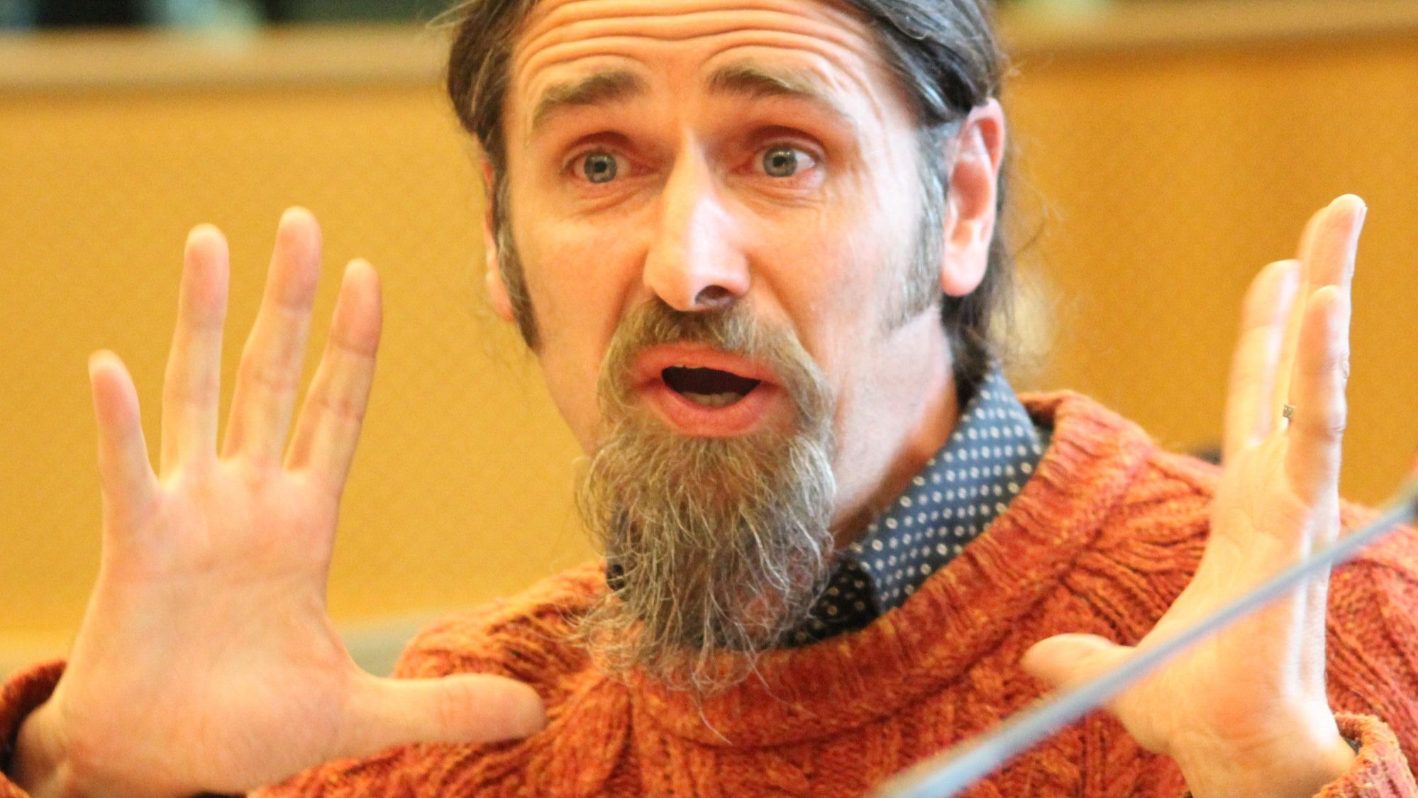 Ірландський депутат брав участь в онлайн-дебатах без штанів: кумедне відео