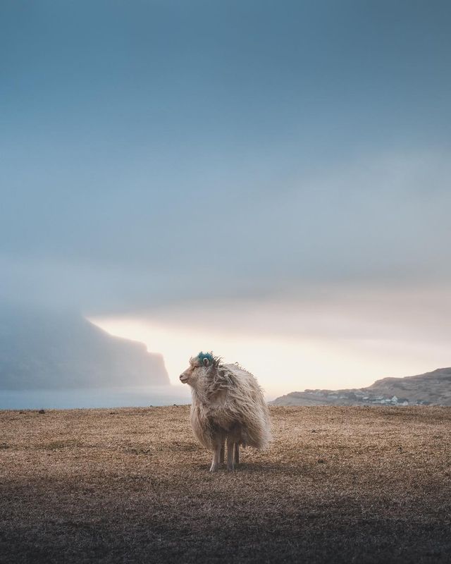 Фотограф показала красу Фарерських островів: захопливі кадри - фото 407969