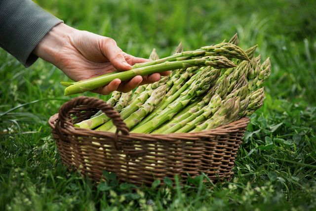 7 овочів, які стають кориснішими після термічної обробки - фото 408133