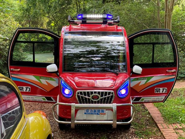 Американець поділився досвідом купівлі найдешевшого у світі електромобіля - фото 408643