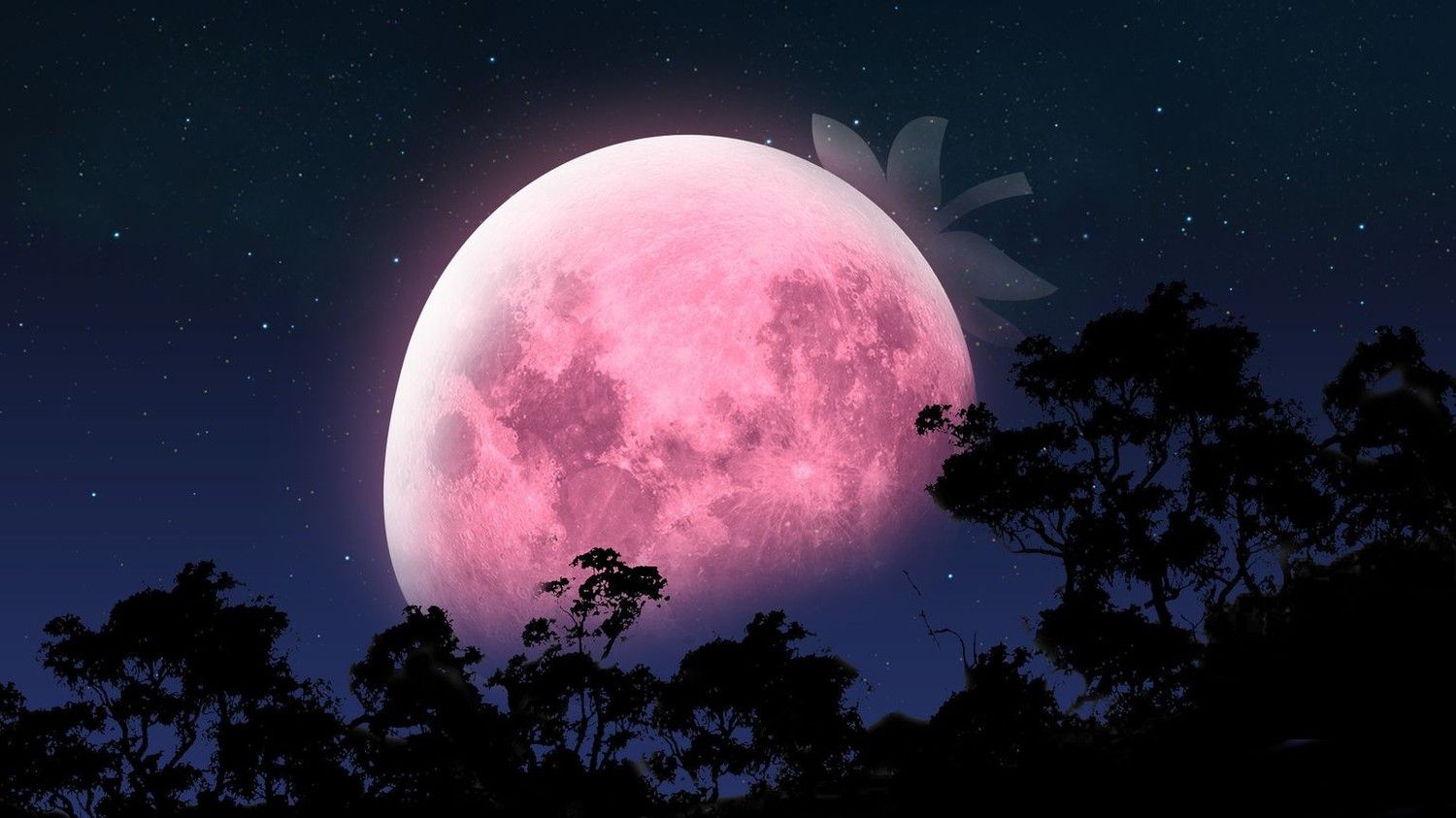 Місяць - фото 1