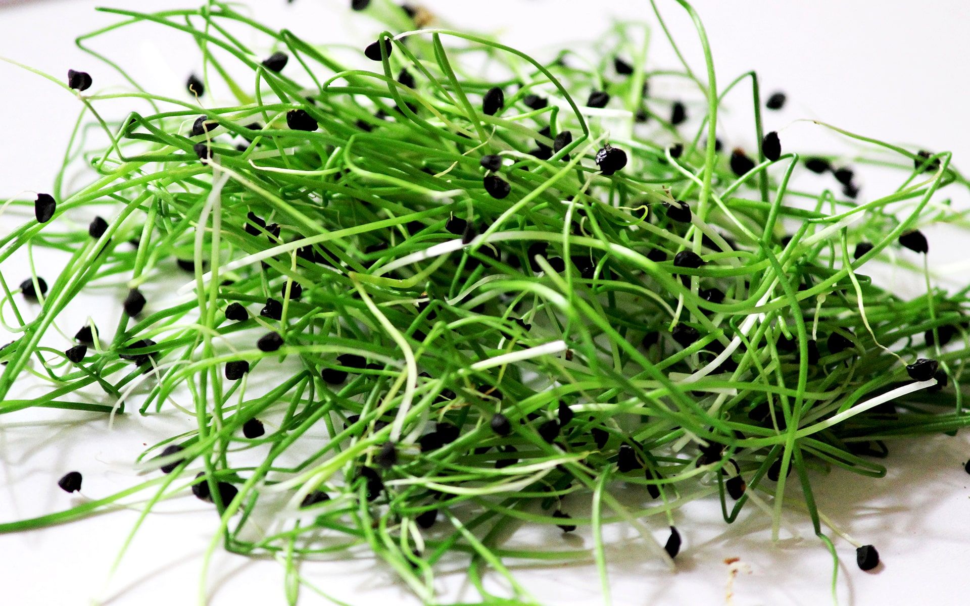 Мікрогрін: користь та різновиди популярного продукту