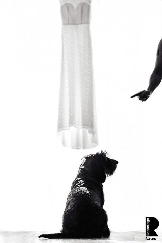 Від сліз до реготу: добірка весільних фото, які не залишать вас байдужими - фото 409298