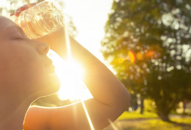 Літо- фото 409458