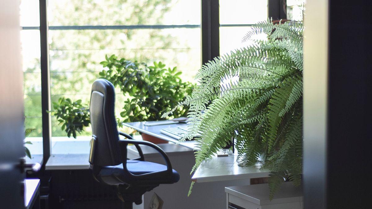 Як освітлення на роботі впливає на наш сон