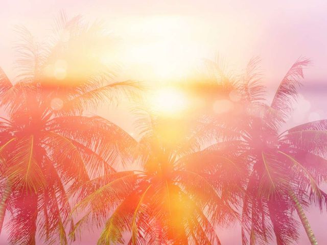 Медики з'ясували, як саме вітамін D впливає на наше здоров'я - фото 409899