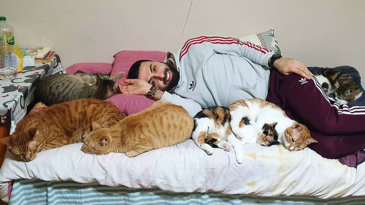 Хлопець прославився завдяки грі з котами на піаніно