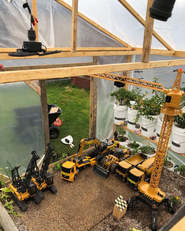 Канадець вирощує гострий перець за допомогою іграшкових вантажних машин: фото - фото 410199