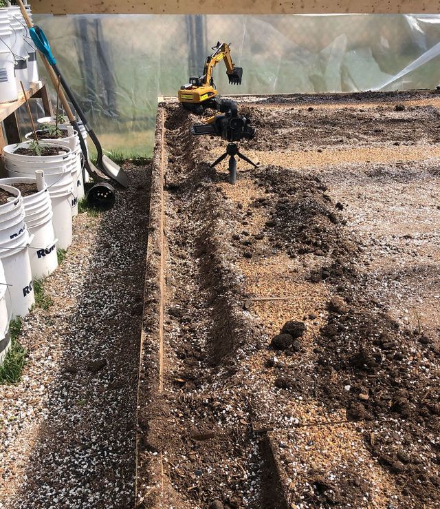 Канадець вирощує гострий перець за допомогою іграшкових вантажних машин: фото - фото 410201