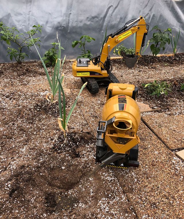 Канадець вирощує гострий перець за допомогою іграшкових вантажних машин: фото - фото 410204