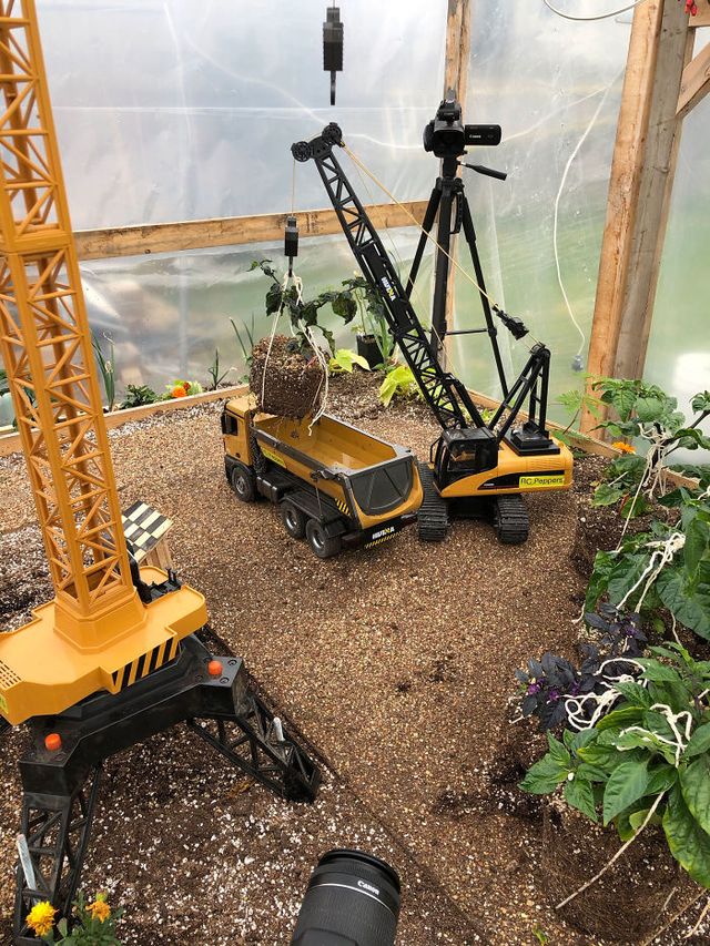 Канадець вирощує гострий перець за допомогою іграшкових вантажних машин: фото - фото 410205