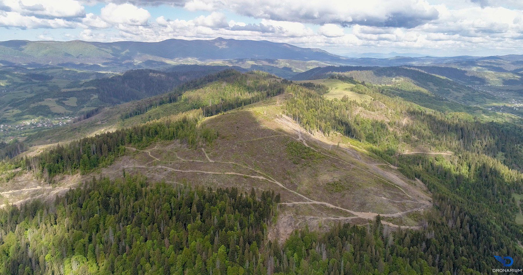 У мережі показали наслідки вирубки лісів в Карпатах: промовисті фото