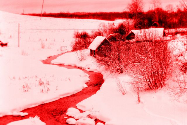 Фотограф показав світ в інфрачервоній зйомці - фото 410980