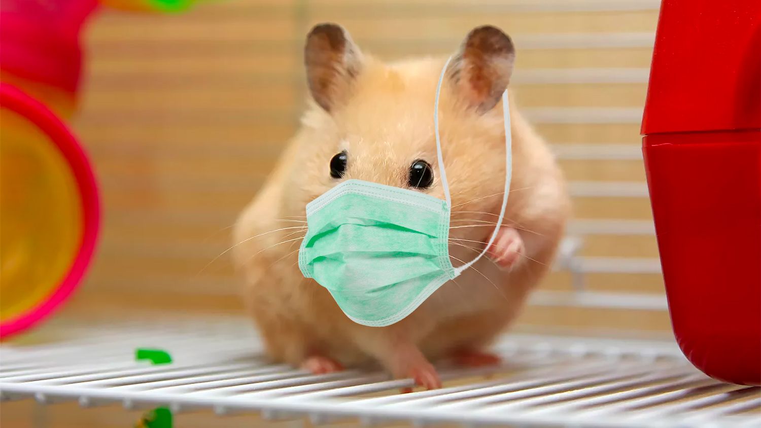 Новини про коронавірус в Україні: скільки хворих на Covid-19 станом на 19 червня