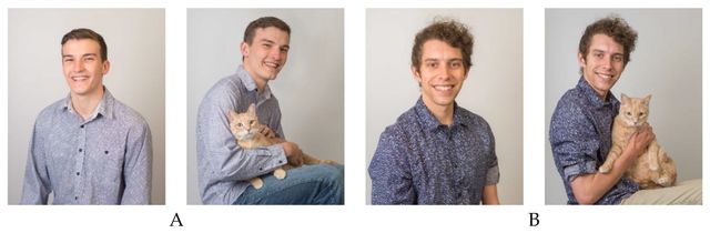 Котик зайвий: чому на сайт знайомств не варто викладати своє фото з пухнастиком - фото 411134