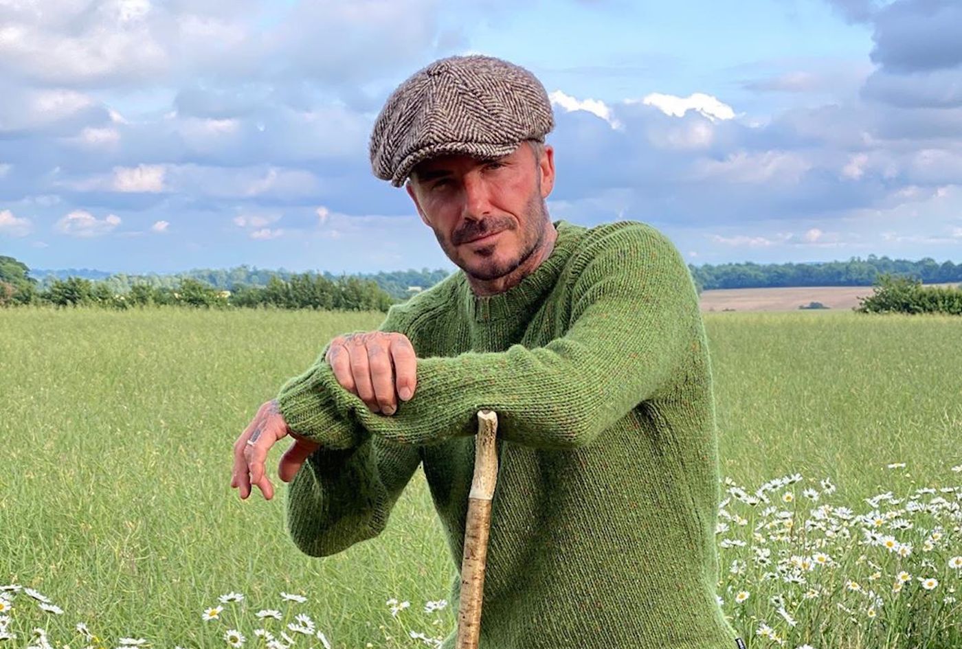 Девід Бекхем зайнявся бджільництвом - фото 1