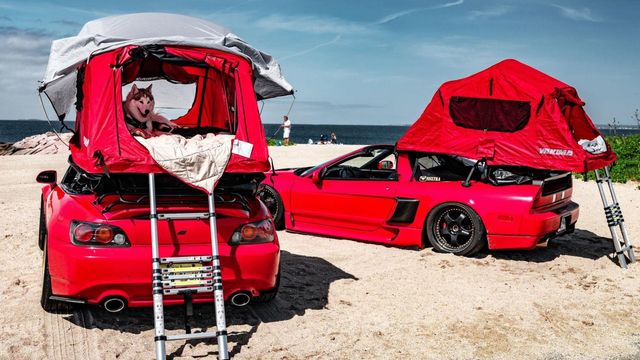 Американець перетворив Honda NSX на автодім, аби подорожувати з собакою - фото 411173