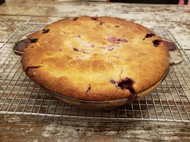 Як дозрівають улюблені літні ягоди: життєвий цикл полуниці та ожини у фото - фото 411465