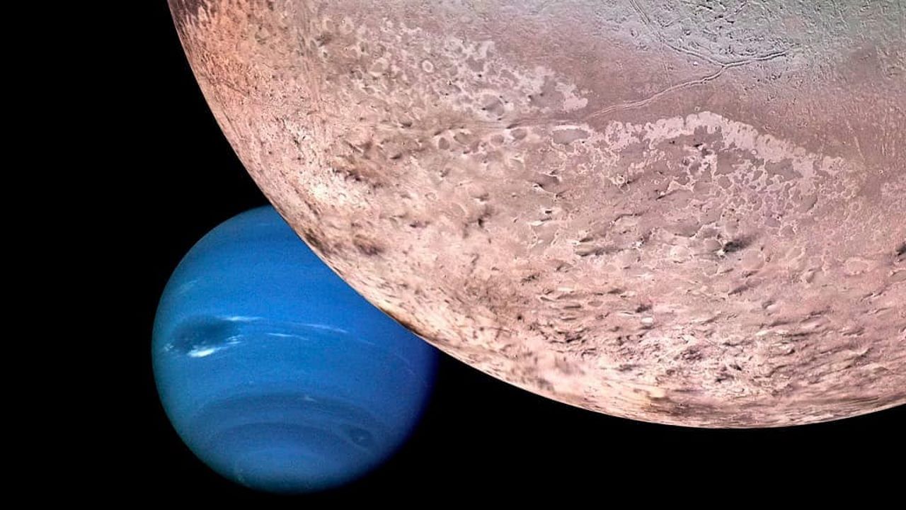 Тритон - фото 1